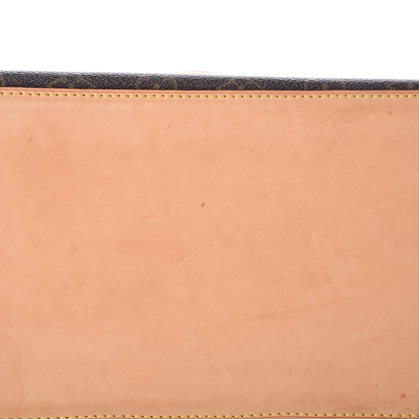 Monogram Cabas Mezzo