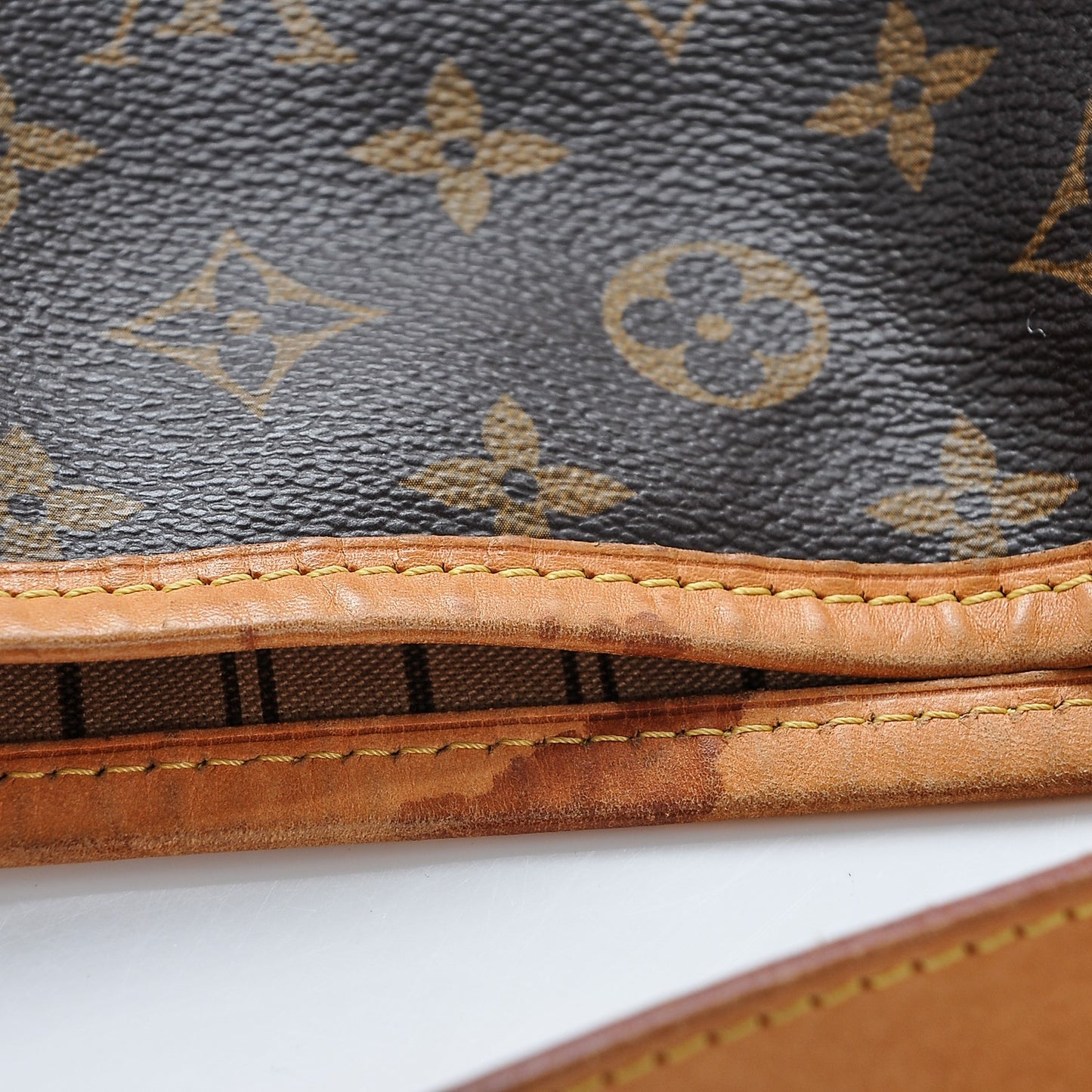 Monogram Delightful MM