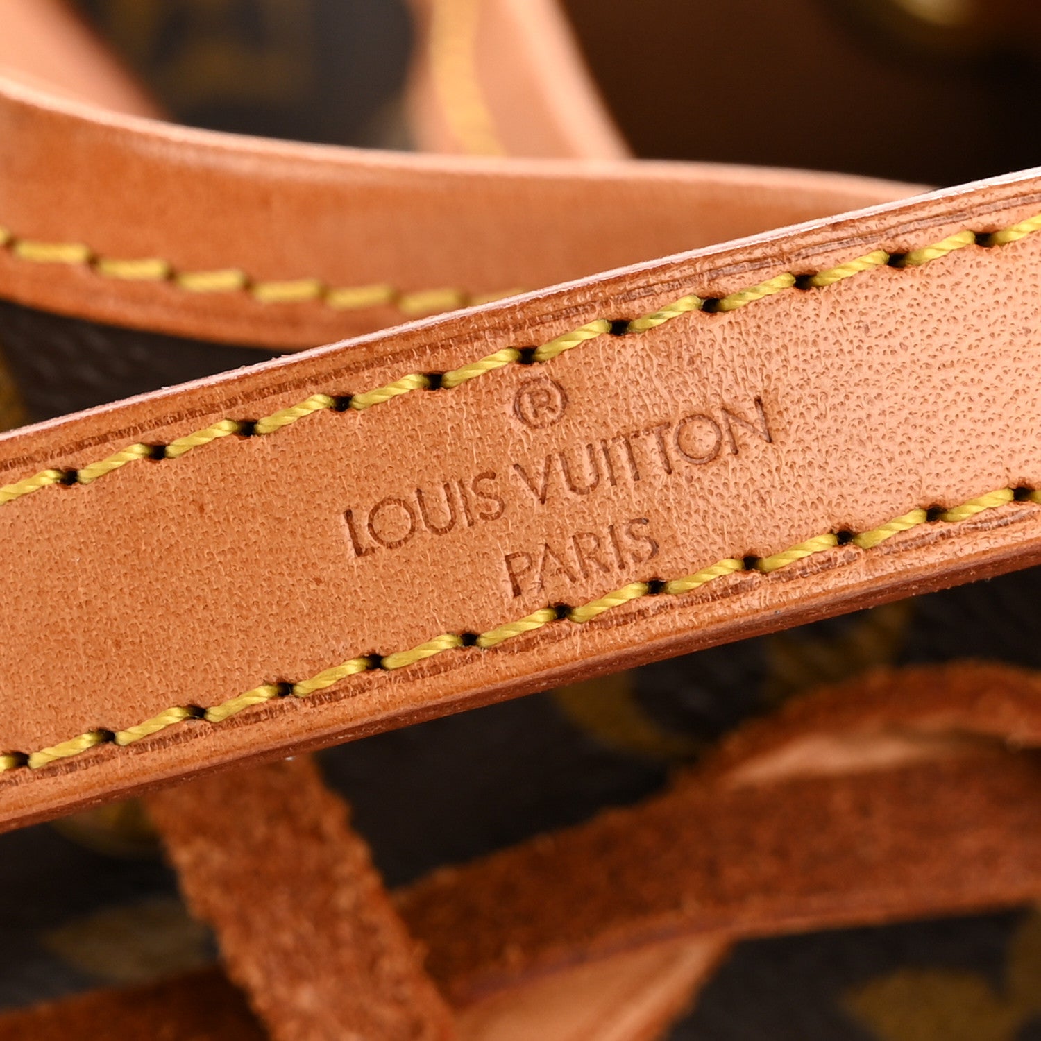 Louis Vuitton Monogram Mini Noe 6 of 6