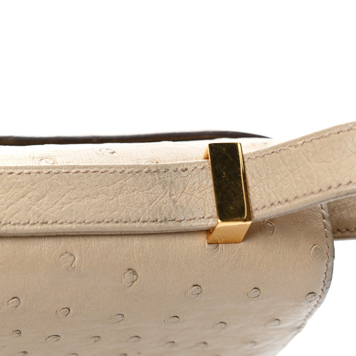 Ostrich Constance 24 Parchemin