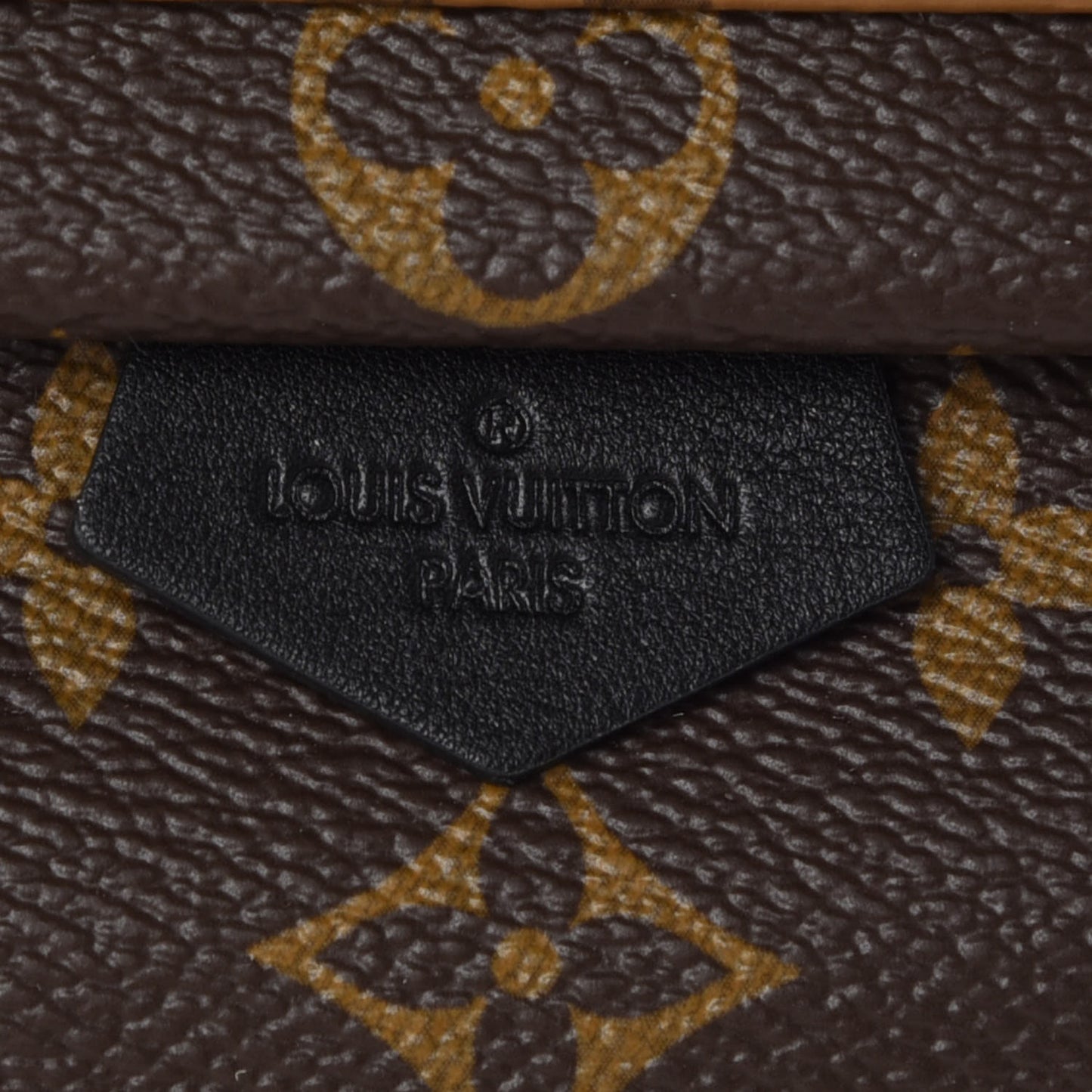 Reverse Monogram Palm Springs Backpack Mini