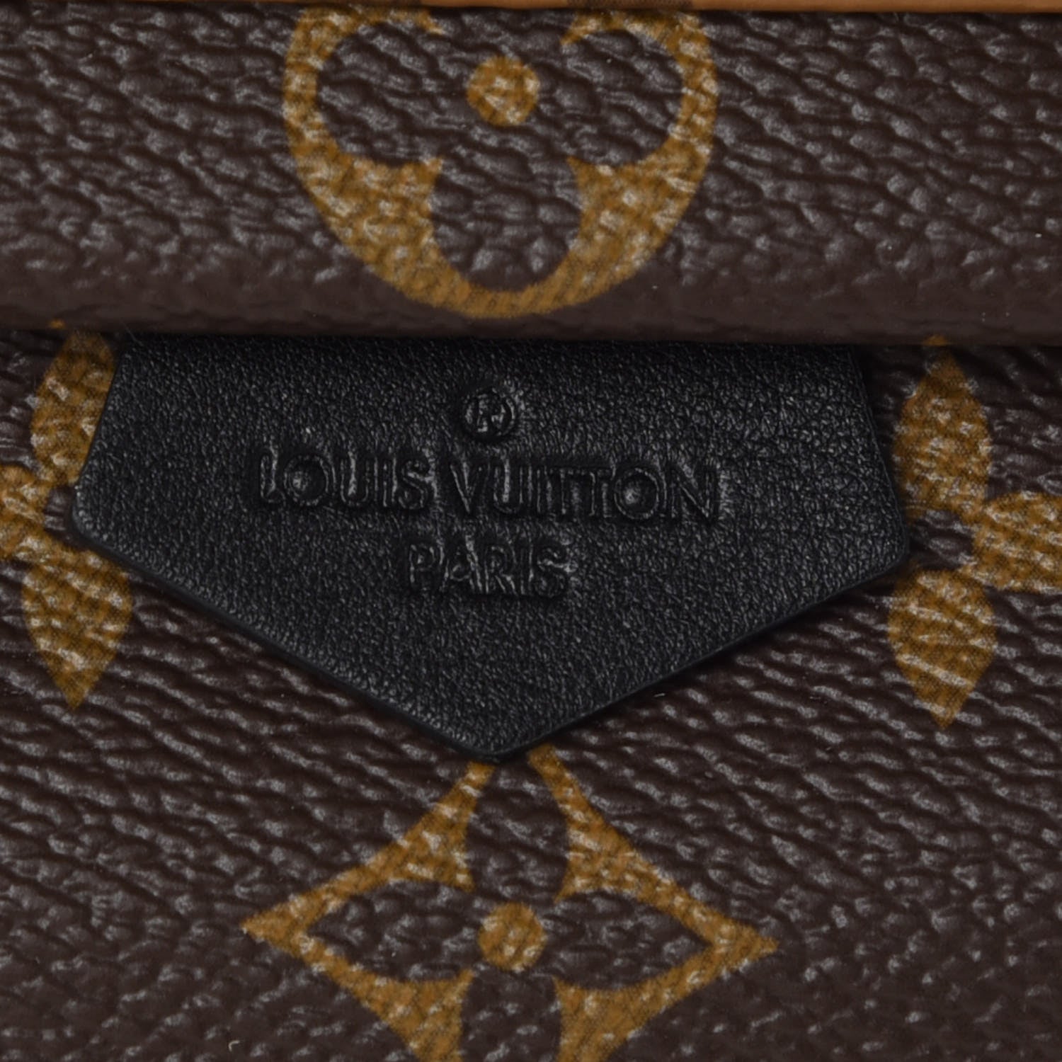 Louis Vuitton Reverse Monogram Palm Springs Backpack Mini 6 of 9