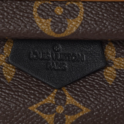 Louis Vuitton Reverse Monogram Palm Springs Backpack Mini 6 of 9