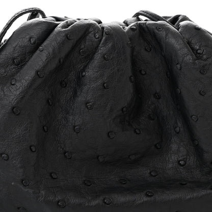 Bottega Veneta Ostrich The Mini Pouch Fondente 8 of 10