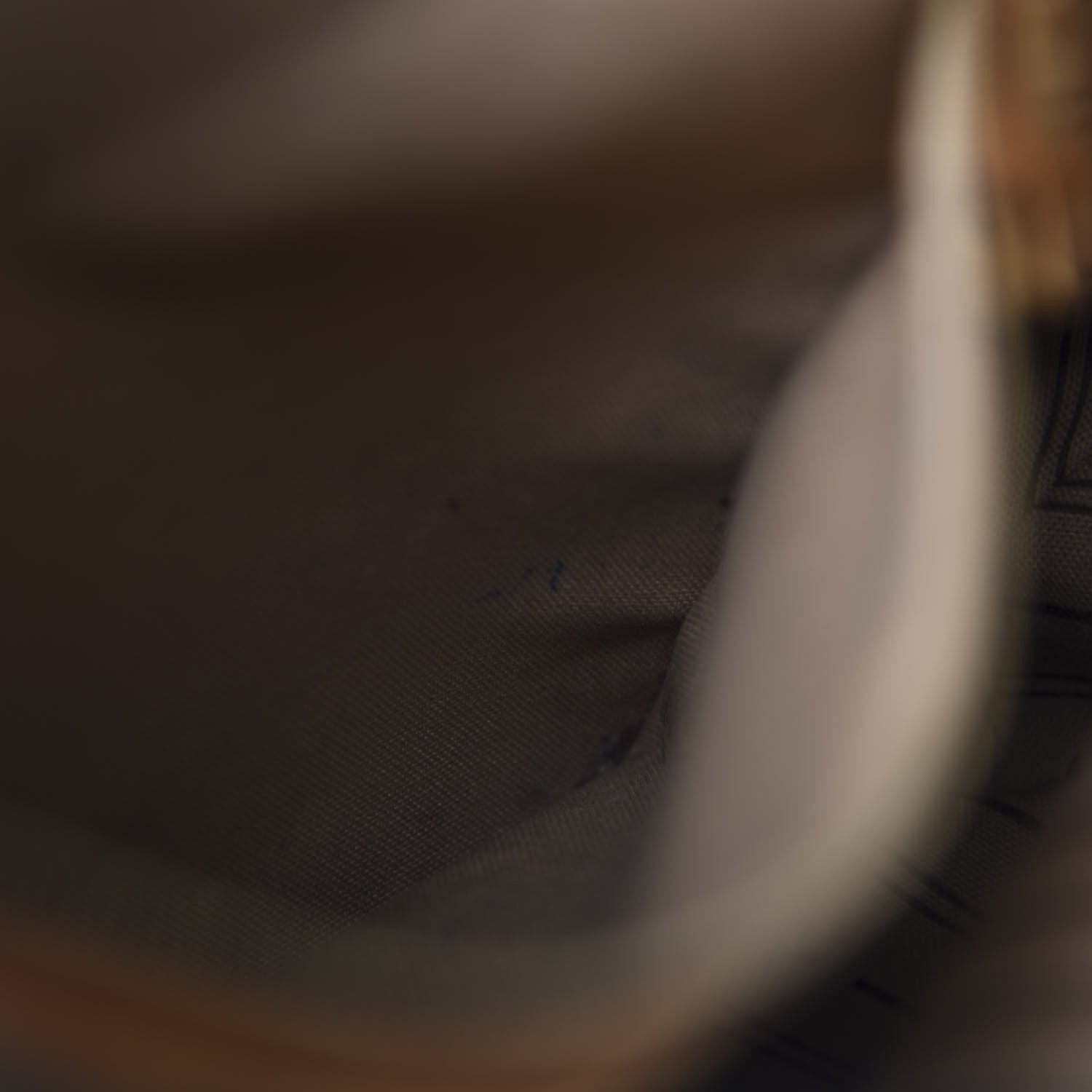 Louis Vuitton Monogram Delightful PM 11 of 14