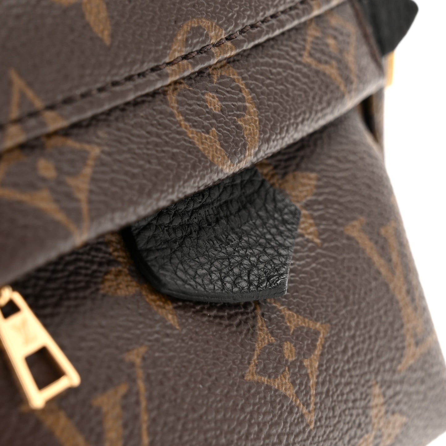 Monogram Palm Springs Backpack Mini