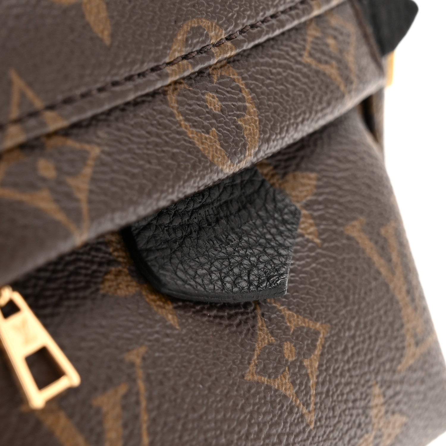 Louis Vuitton Monogram Palm Springs Backpack Mini 11 of 14