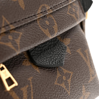 Louis Vuitton Monogram Palm Springs Backpack Mini 11 of 14