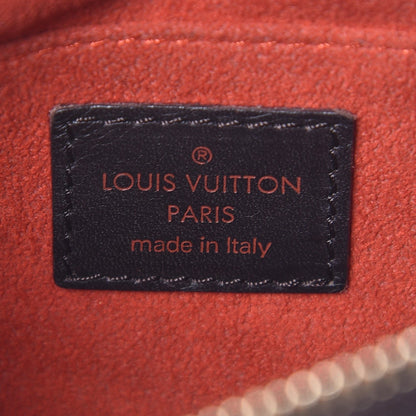 Louis Vuitton Calf Hair Damier Sauvage Tigre 6 of 13