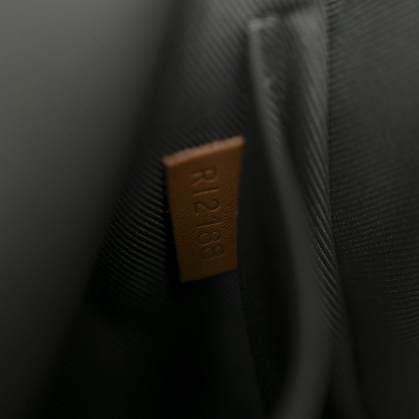 Monogram Titanium Camera Bag