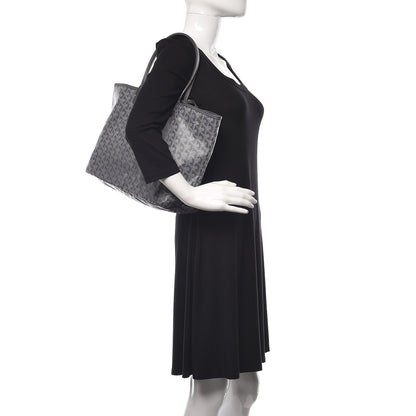 Goyard Goyardine Saint Louis PM Grey 2 of 9