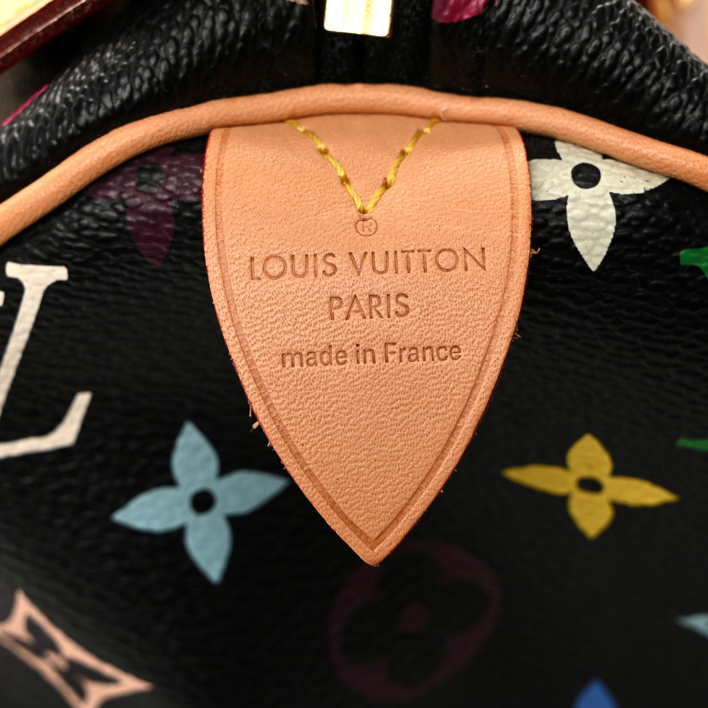 Monogram Multicolor Speedy 30 Black