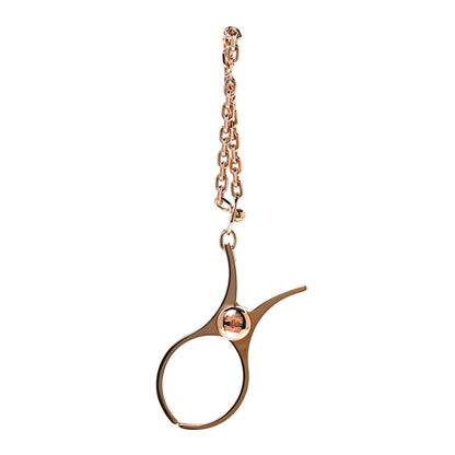 Hermes Permabrass Filou Glove Clip 1 of 4