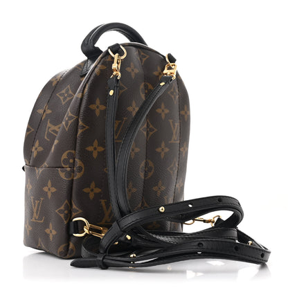 Louis Vuitton Monogram My World Tour Palm Springs Backpack Mini 3 of 10