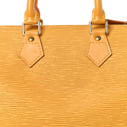 Louis Vuitton Epi Speedy 25 Tassil 8 of 12