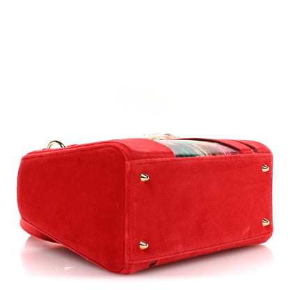 Christian Dior X SHARA HUGHES Velvet Calfskin Printed Medium Lady Dior Art Red Multicolor 4 of 10