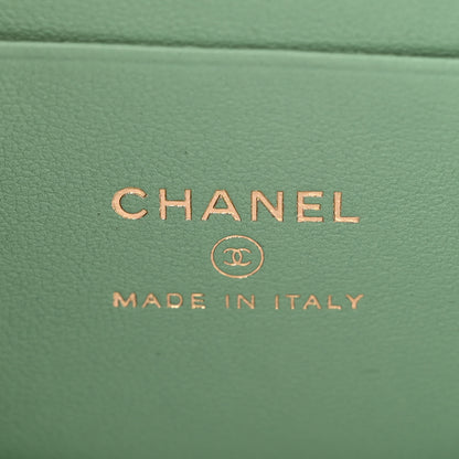 Chanel Lambskin Quilted Small Top Handle Vanity Case With Chain Lilac Light Green 6 of 11