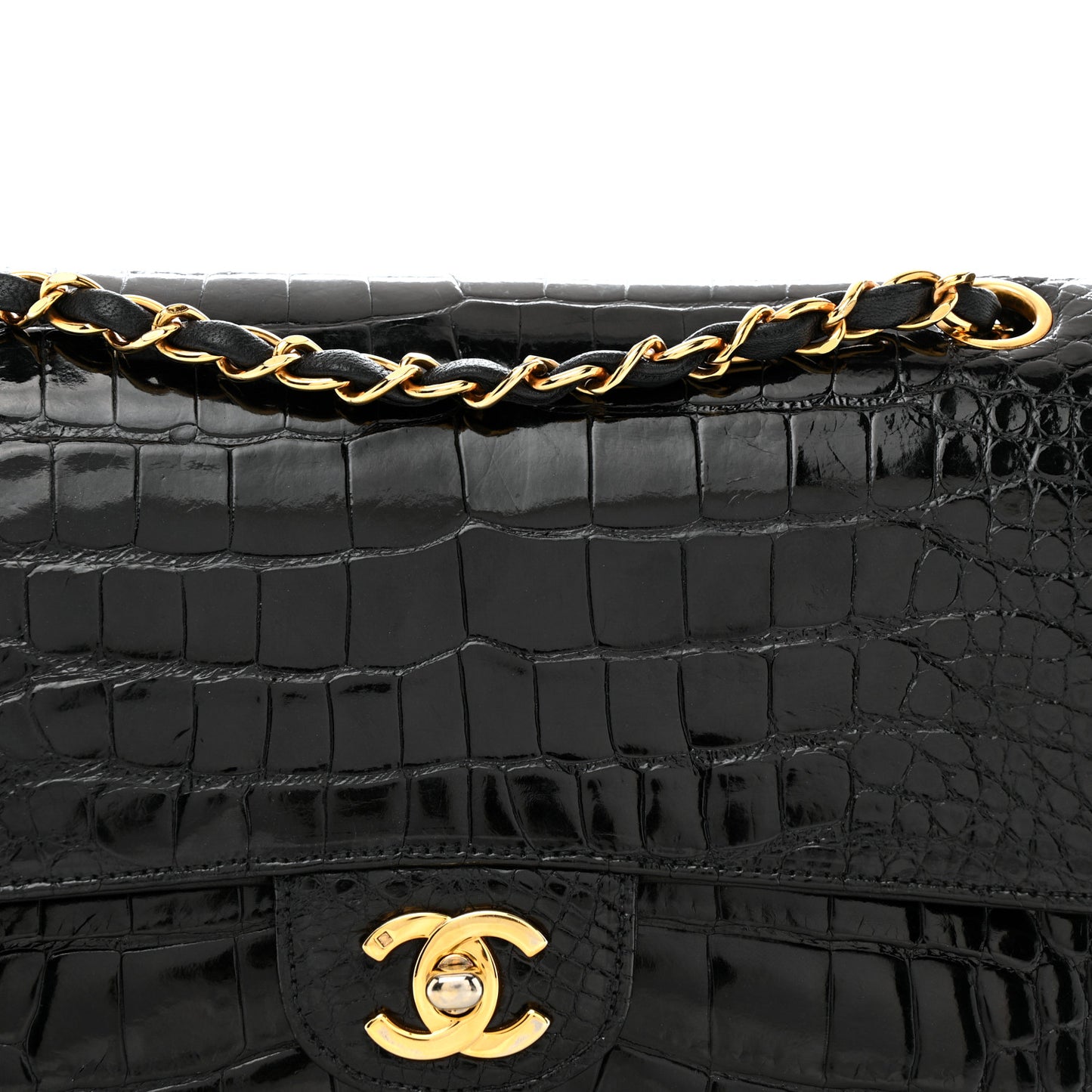 Alligator Medium Double Flap Black