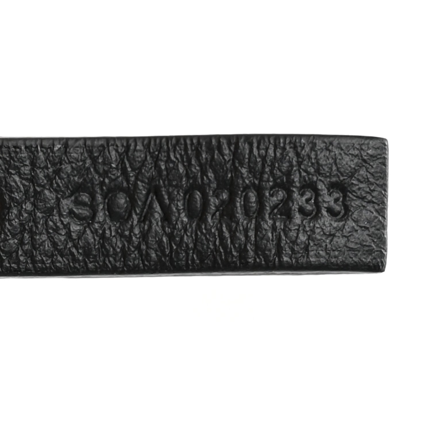 Goyard ine Saint Louis GM Black 9 of 12