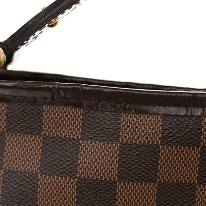 Louis Vuitton Damier Ebene Delightful PM 19 of 19