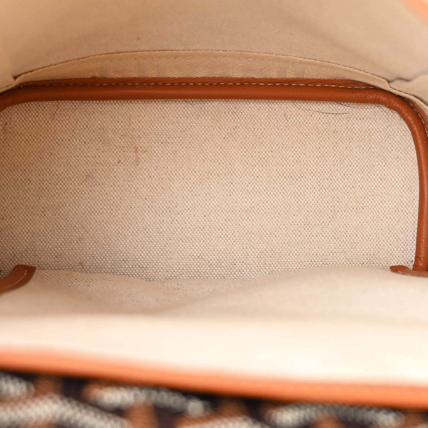 Goyardine Calfskin Mini Alpin Backpack Black Gold