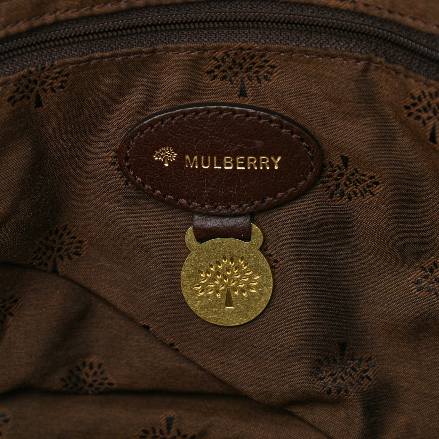 Mulberry Soft Buffalo Medium Alexa Chocolate 5 of 10