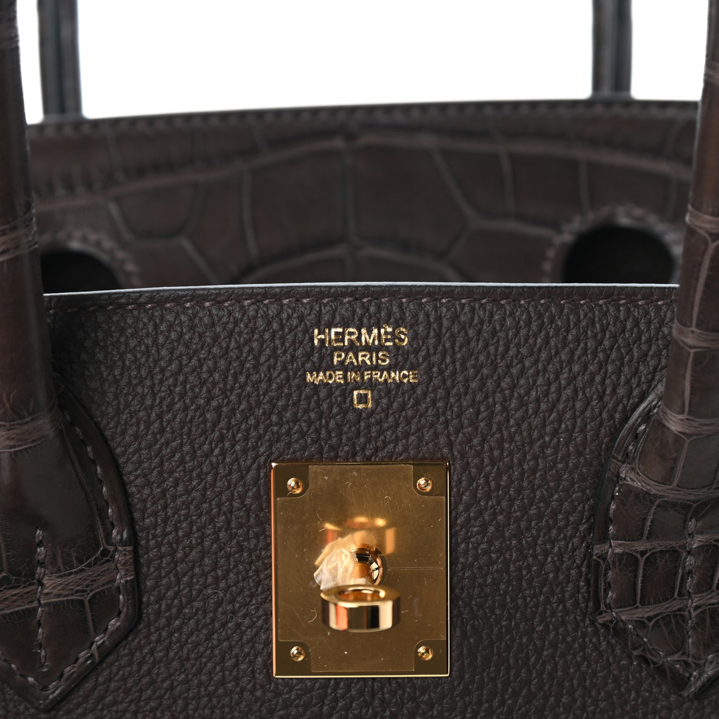 Togo Matte Alligator Birkin Touch 30 Ebene
