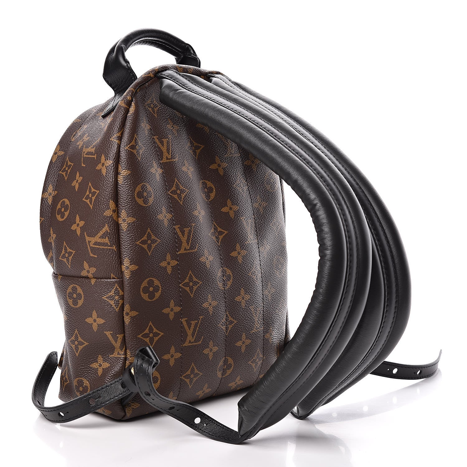 Louis Vuitton Monogram Palm Springs Backpack PM 3 of 10