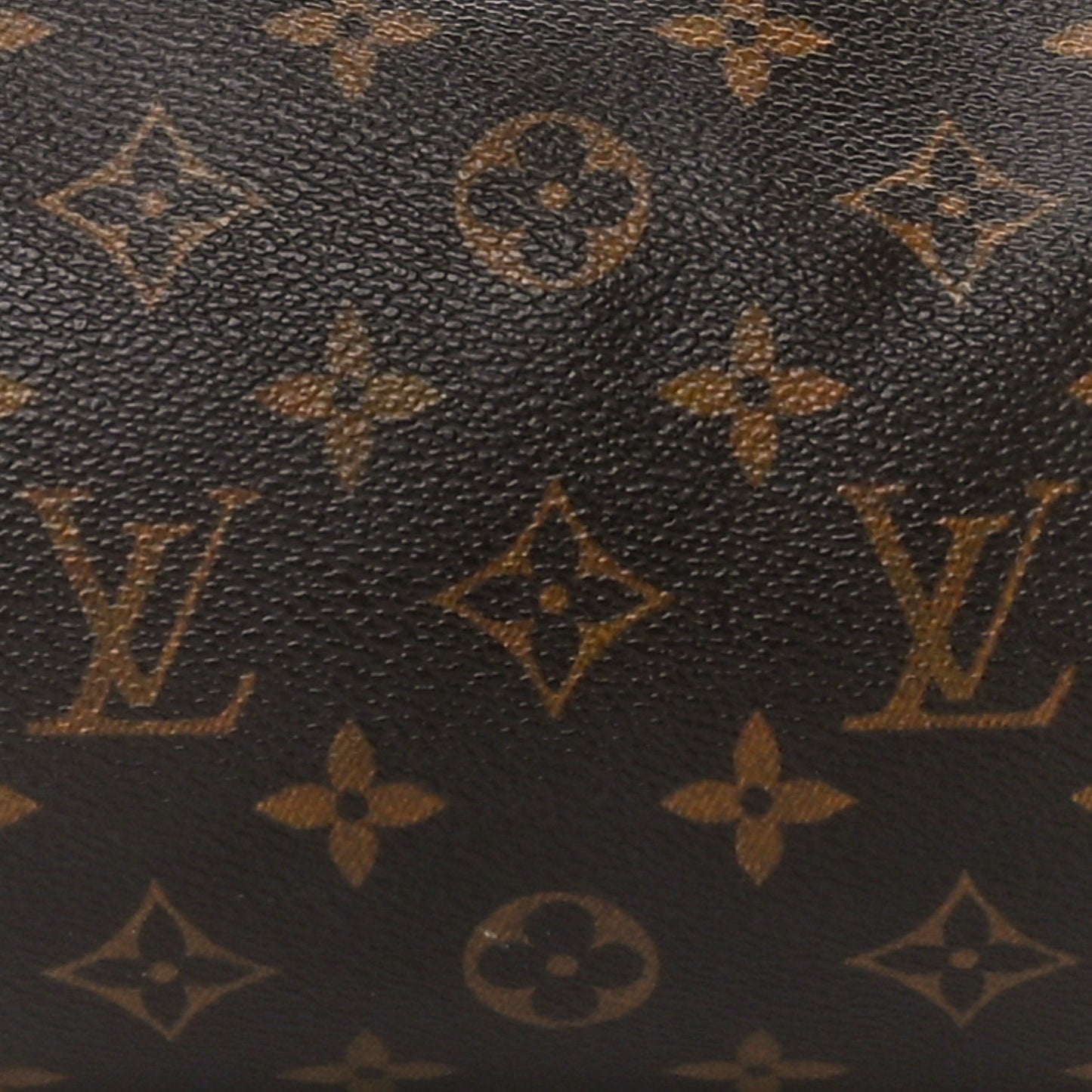 Monogram Papillon 30