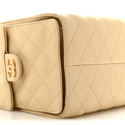 Chanel Caviar Quilted Small Chanel 25 Handbag Beige 9 of 10