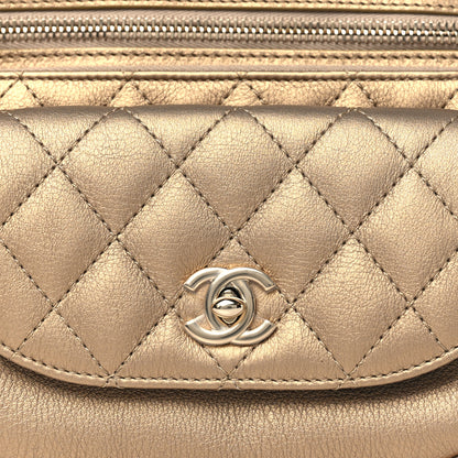 Chanel Calfskin Quilted Waist Bag Gold 8 of 10