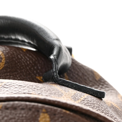 Louis Vuitton Monogram Palm Springs Backpack Mini 14 of 16