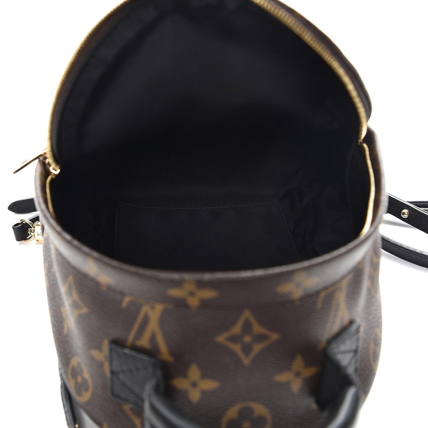 Monogram Palm Springs Backpack Mini