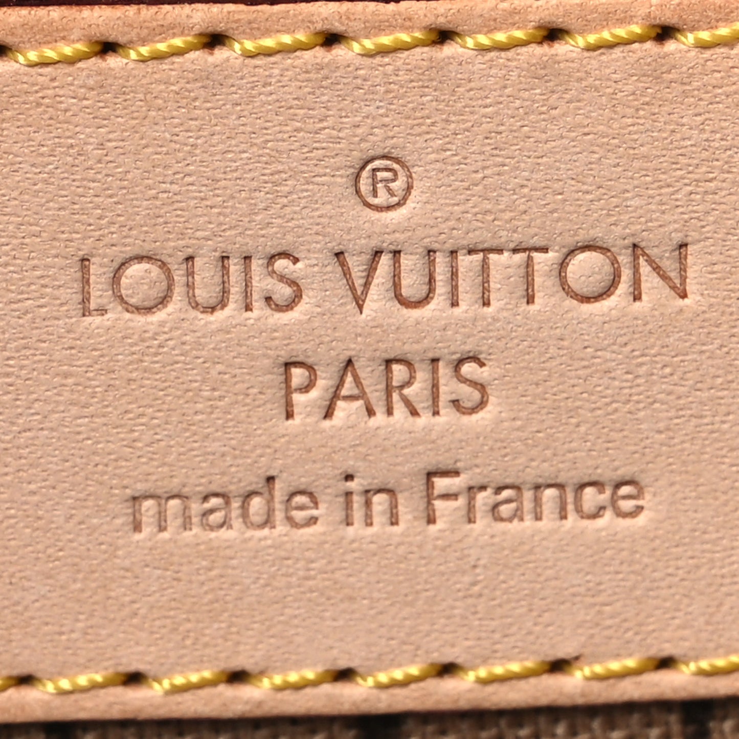 Monogram Neverfull PM Pochette