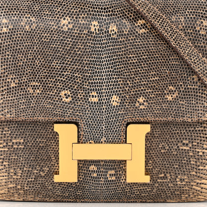 Hermes Lizard Constance 18 Ombre 8 of 11
