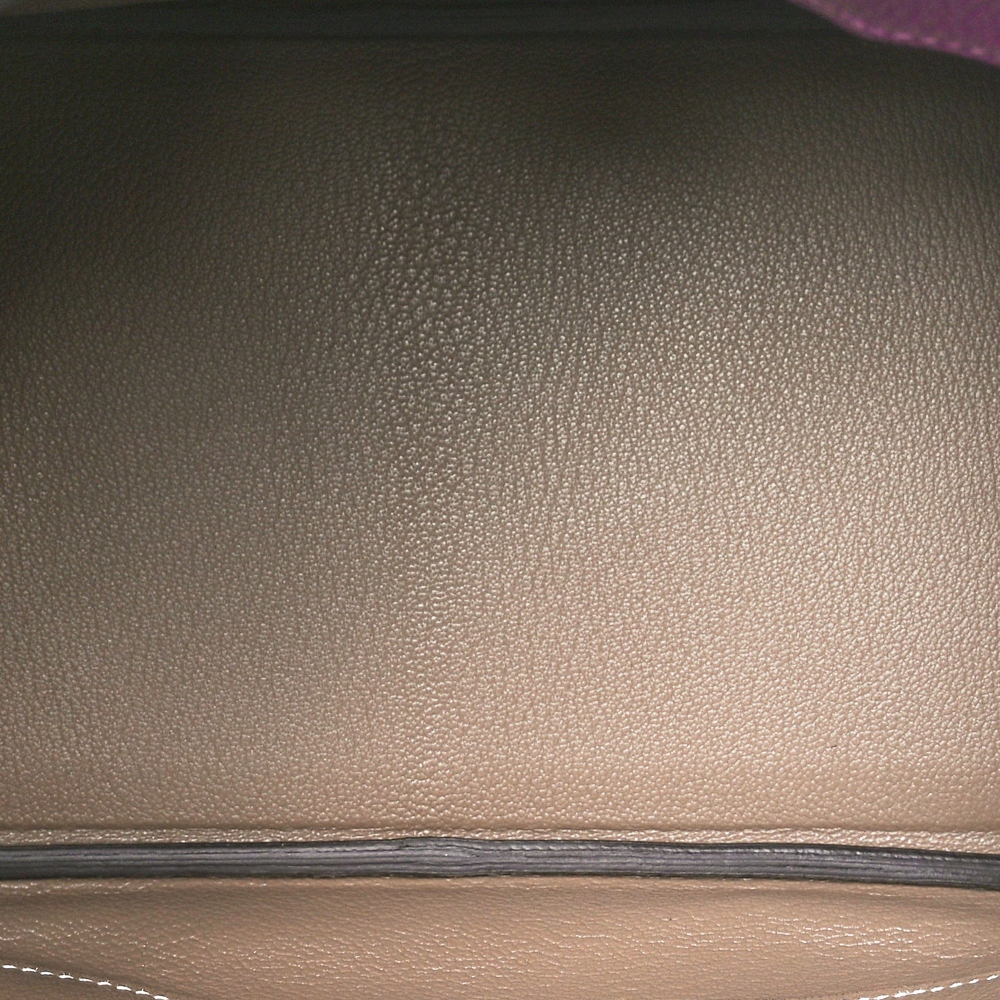 Chevre Mysore Bi-Color Horseshoe Birkin 30 Anemone Etoupe