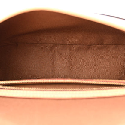 Louis Vuitton Monogram Sologne 5 of 11