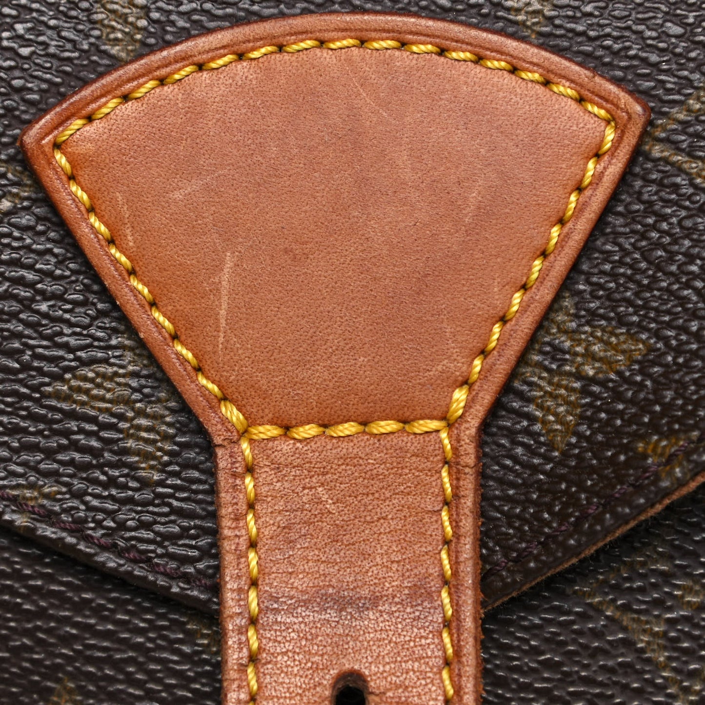 Monogram Montsouris GM Backpack