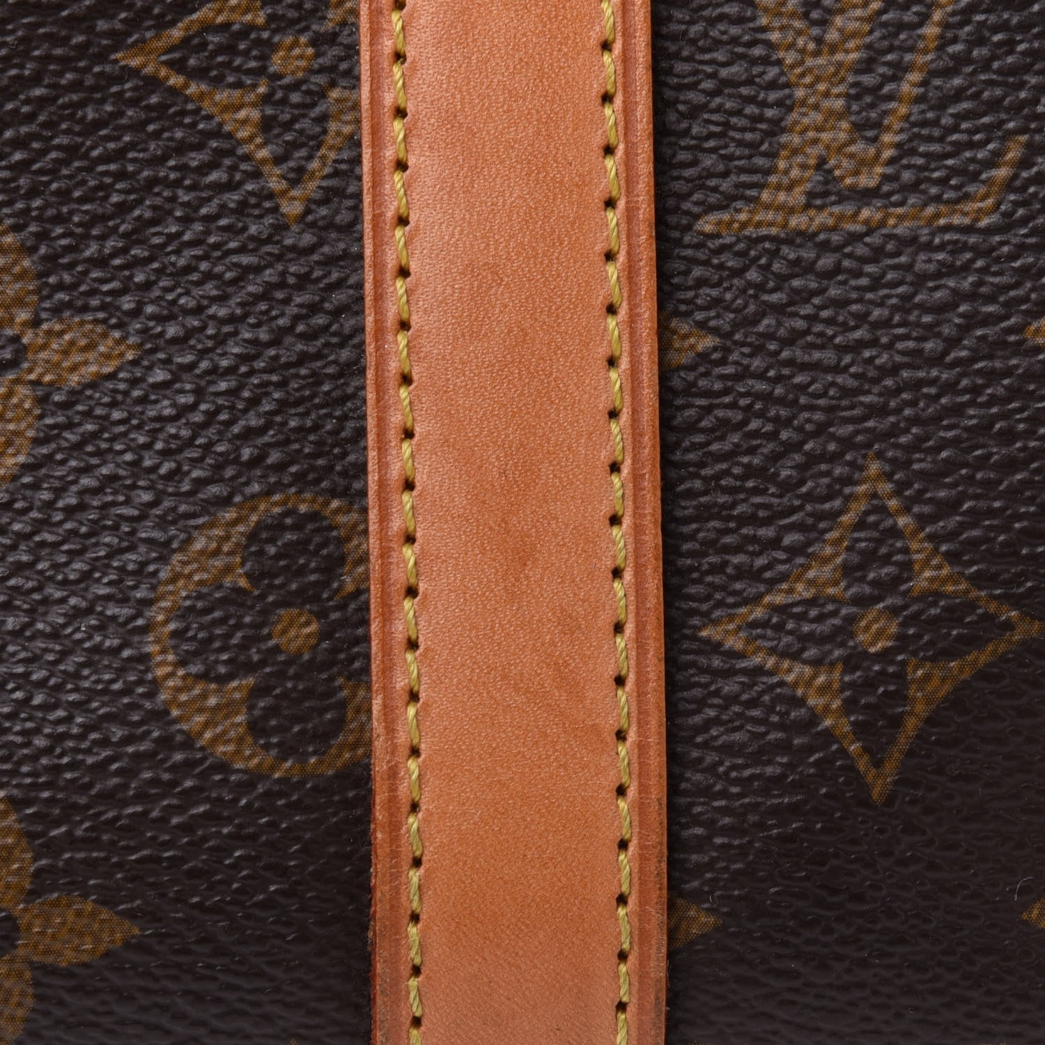 Louis Vuitton Monogram Sac Baxter PM Dog Pet Carrier 12 of 13
