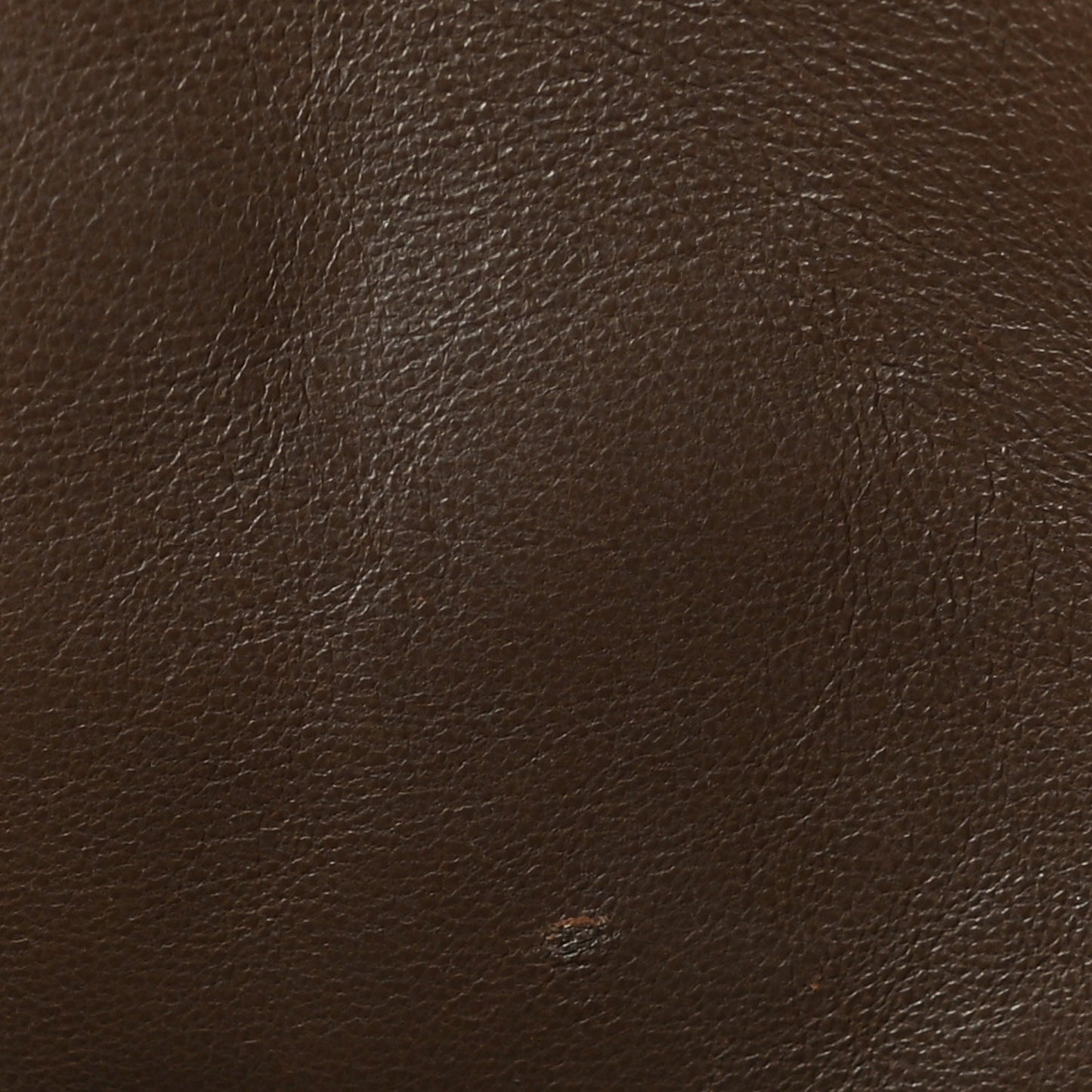 Ostrich Stam Purple