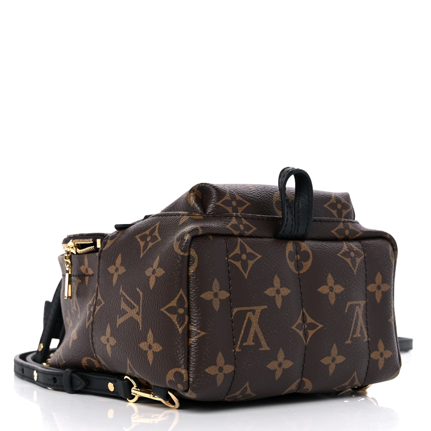 Monogram Palm Springs Backpack Mini