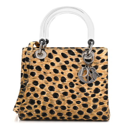 Christian Dior Canvas Leopard Print Medium Lady Dior 1 of 10