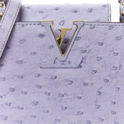 Louis Vuitton Ostrich Capucines Mini Grey 7 of 11