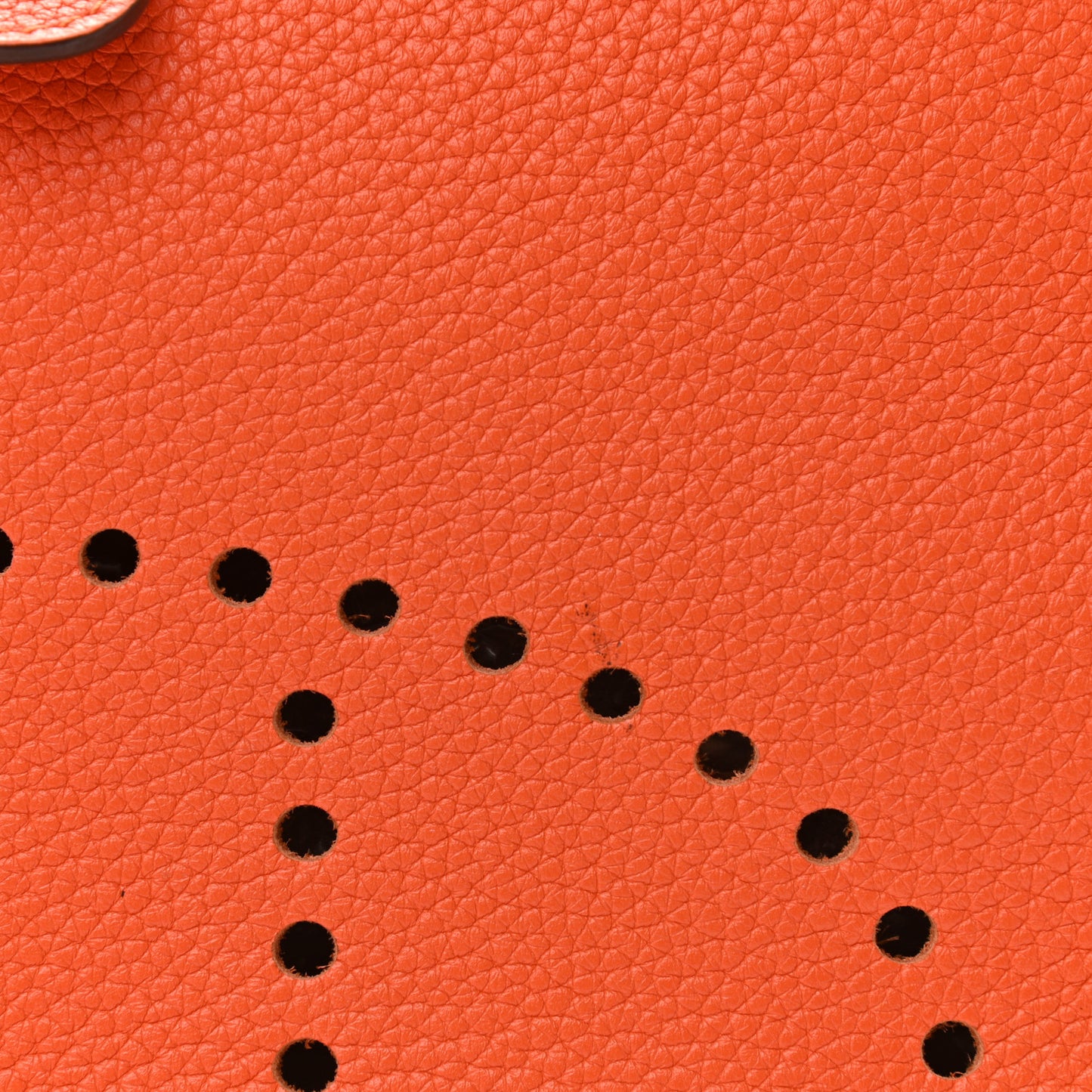 Taurillon Clemence Evelyne III GM Orange