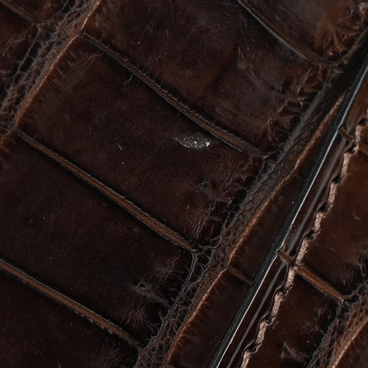 Matte Porosus Crocodile Birkin 30 Havane