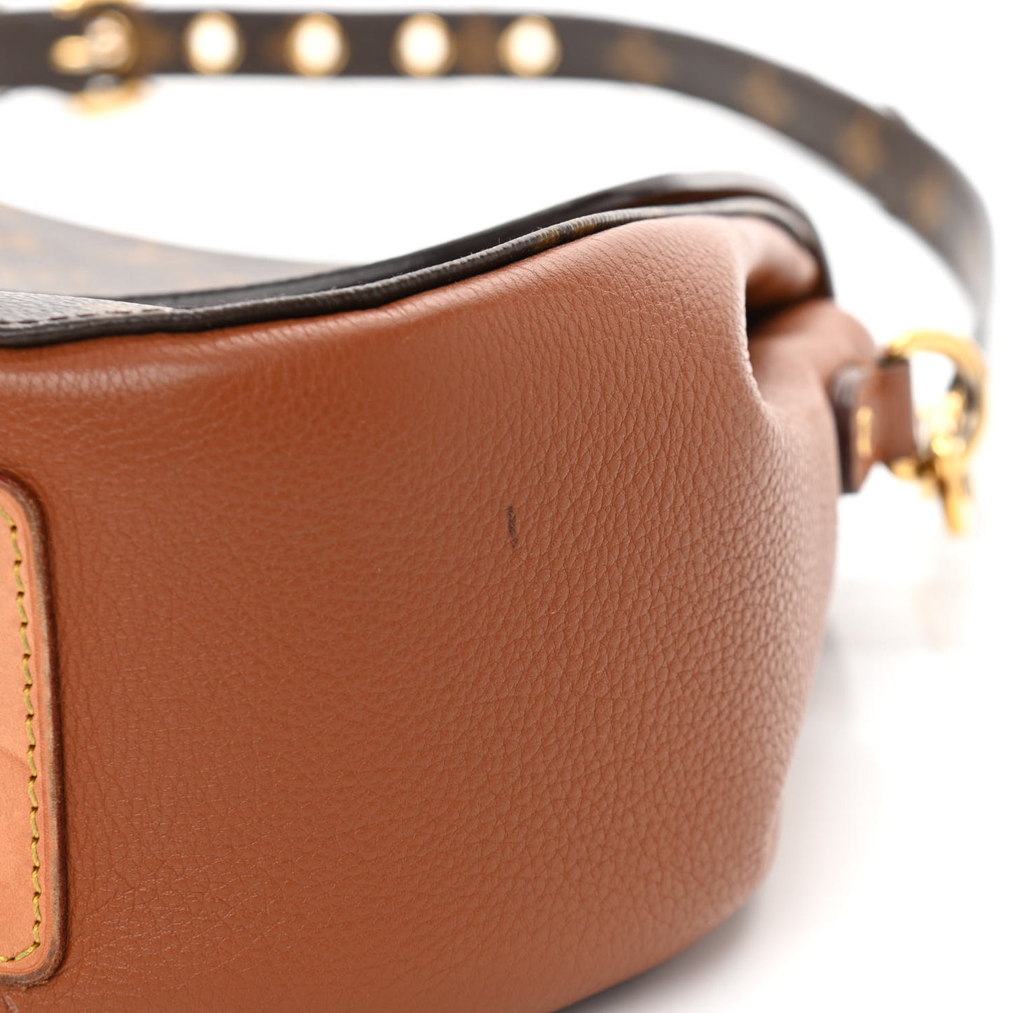 Monogram Eden MM Camel