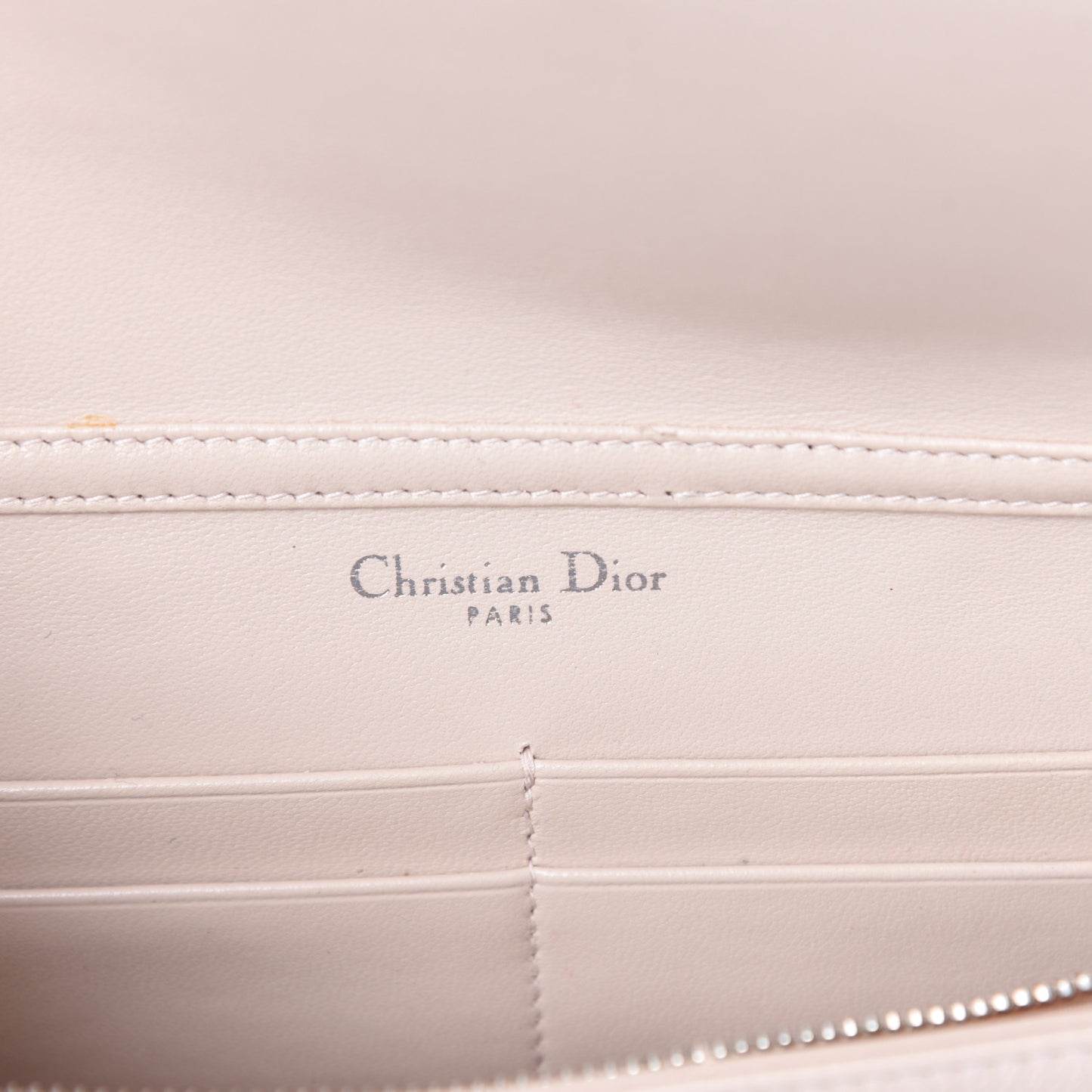 Grained Calfskin Diorama Wallet on Chain Pouch Nude