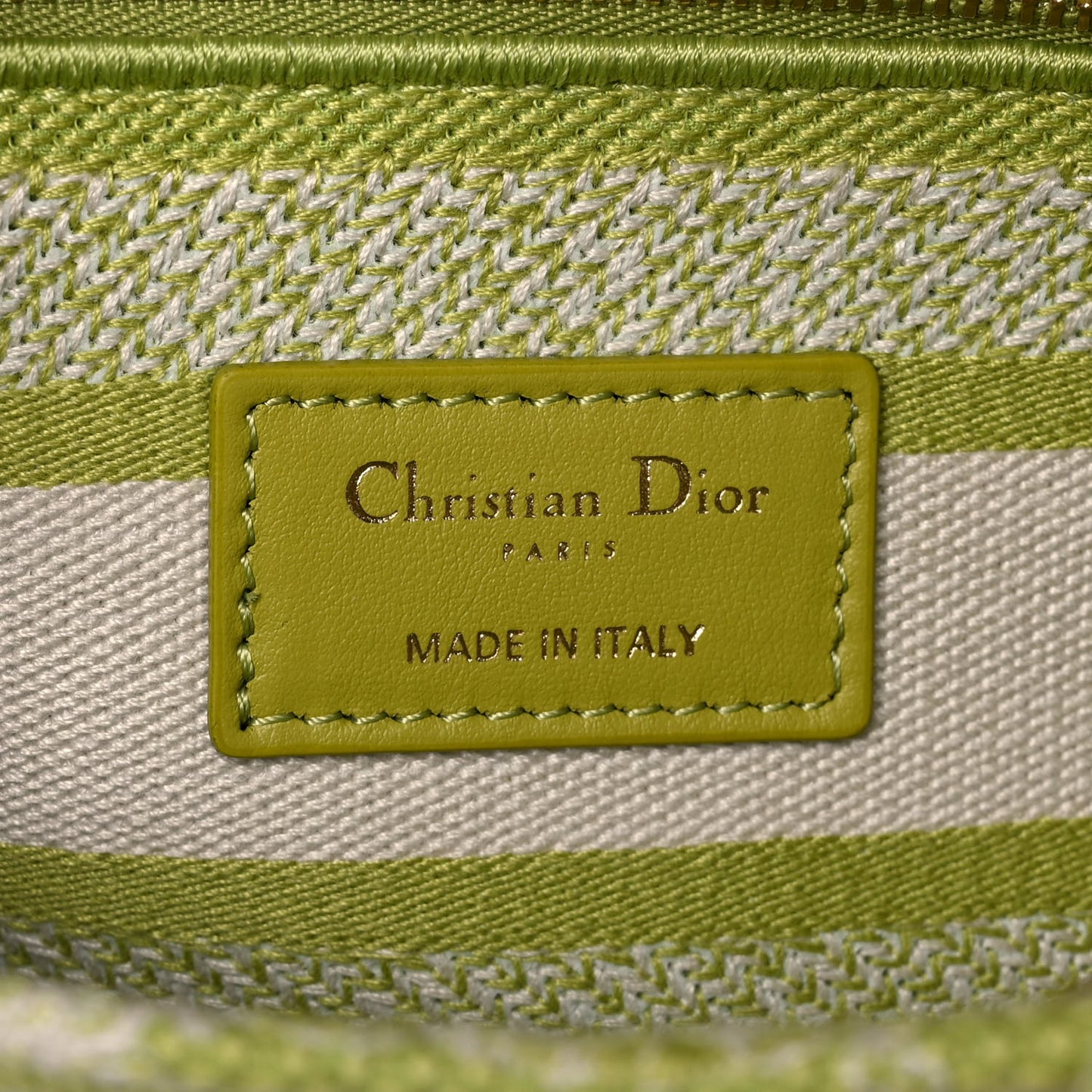 Canvas Toile De Jouy Reverse Embroidered Medium Lady D-Lite Green