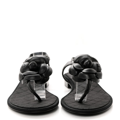 Chanel Lambskin Camellia Thong Sandals 36 Black 2 of 8