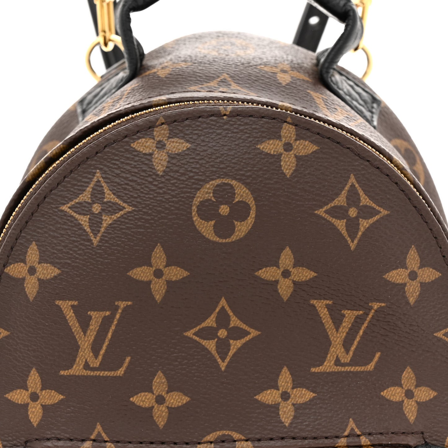 Monogram Palm Springs Backpack Mini